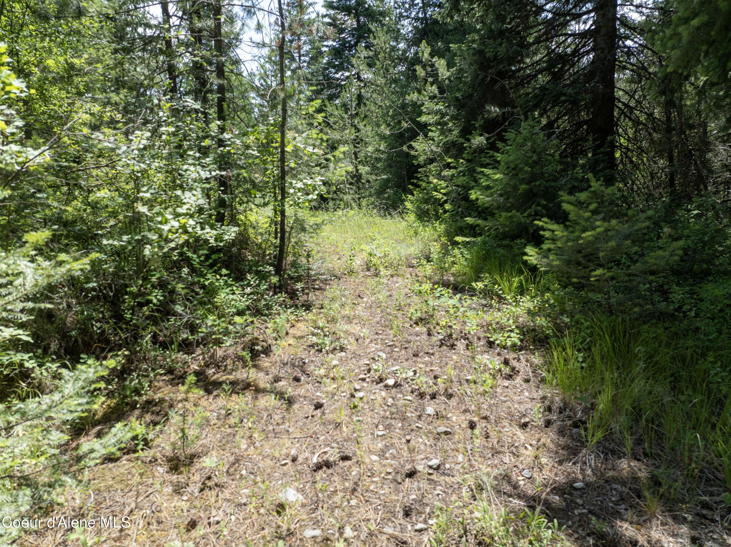 Blk1-lot3 West Grayeagle Road Rathdrum, ID 83858 - Photo 19 of 21 DJI_0213 copy