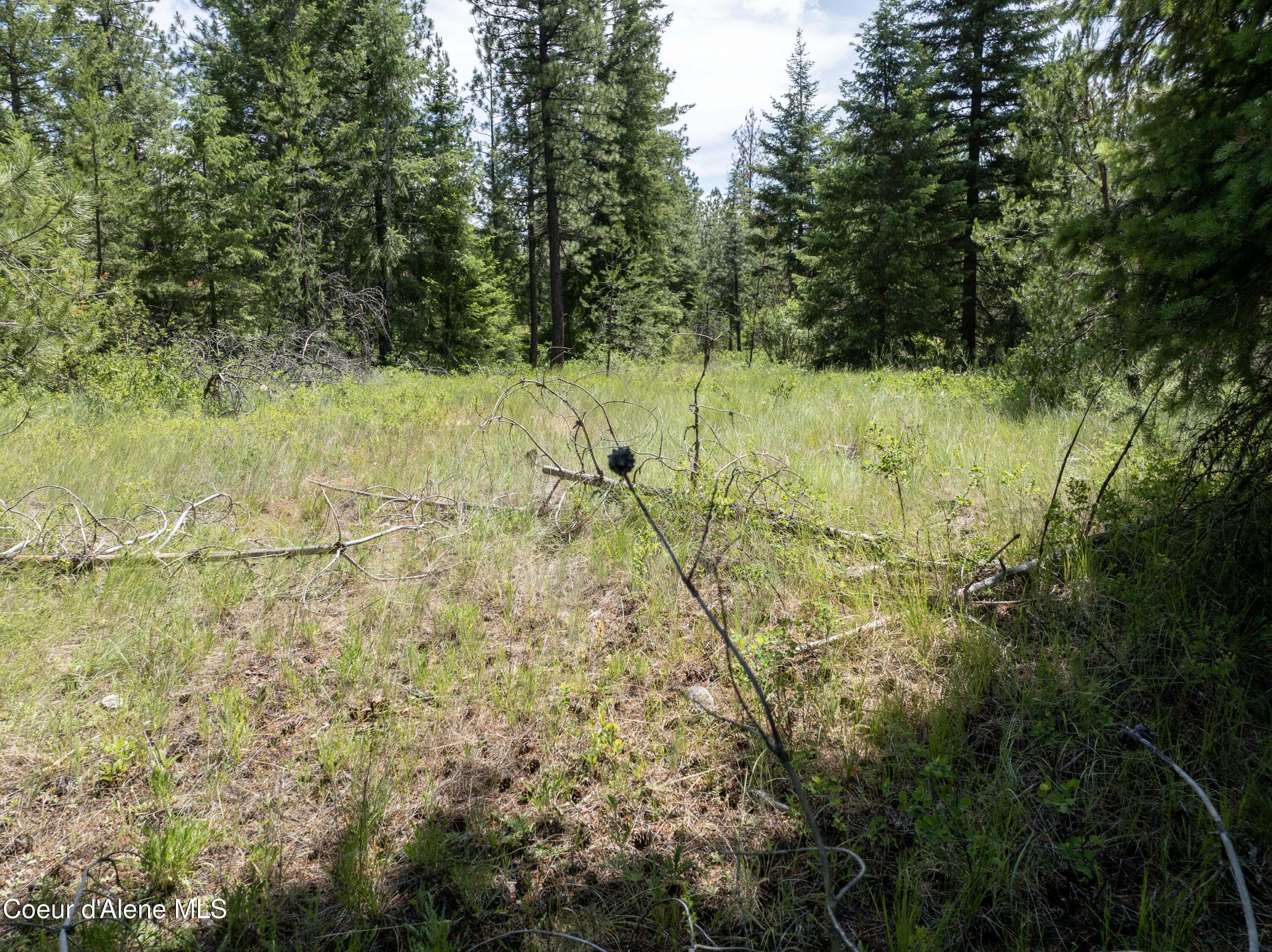 Blk1-lot3 West Grayeagle Road Rathdrum, ID 83858 - Photo 20 of 21 DJI_0214 copy