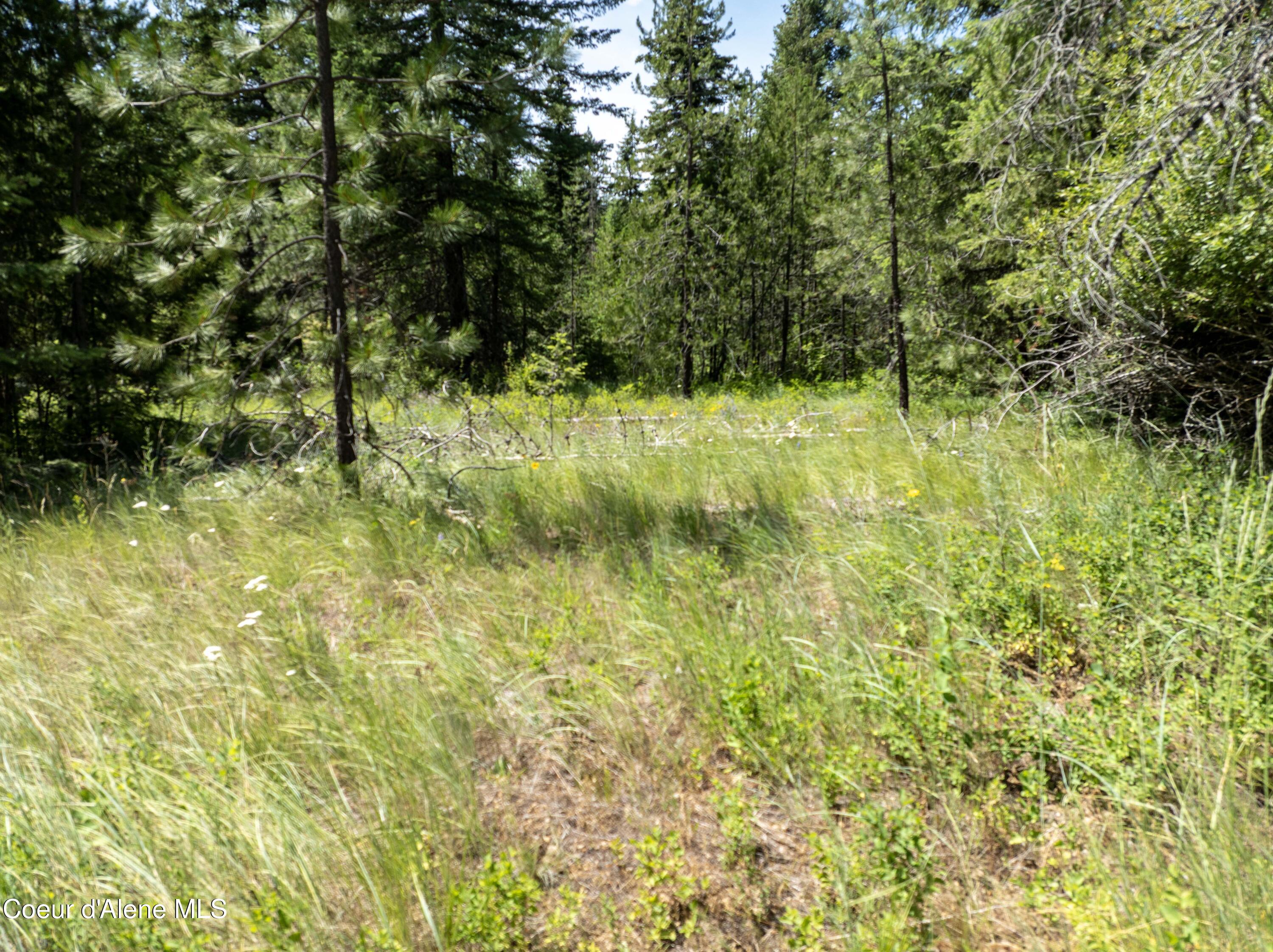 Blk1-lot3 West Grayeagle Road Rathdrum, ID 83858 - Photo 21 of 21 DJI_0215 copy
