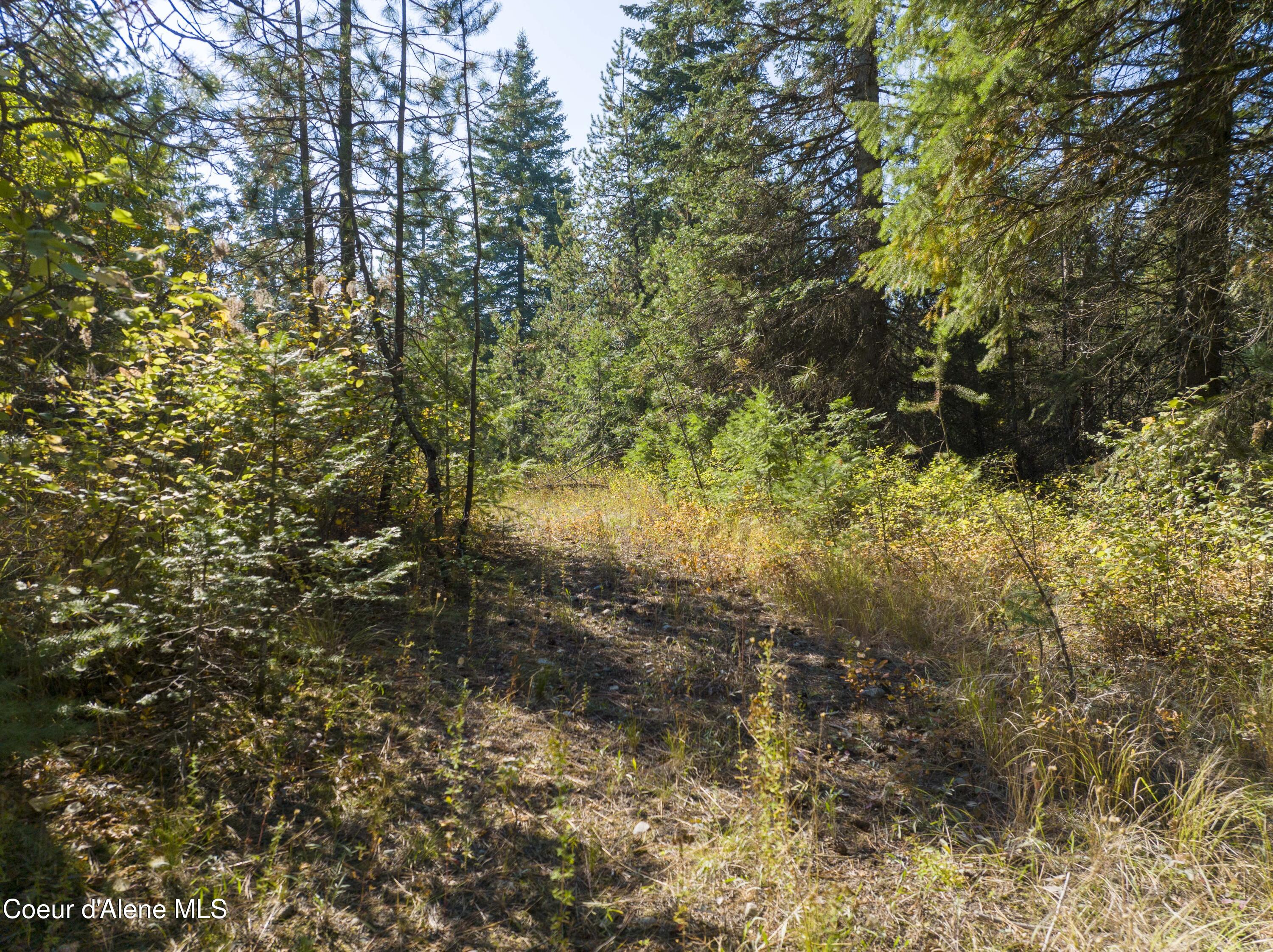 Blk1-lot3 West Grayeagle Road Rathdrum, ID 83858 - Photo 7 of 21 No CCR's
