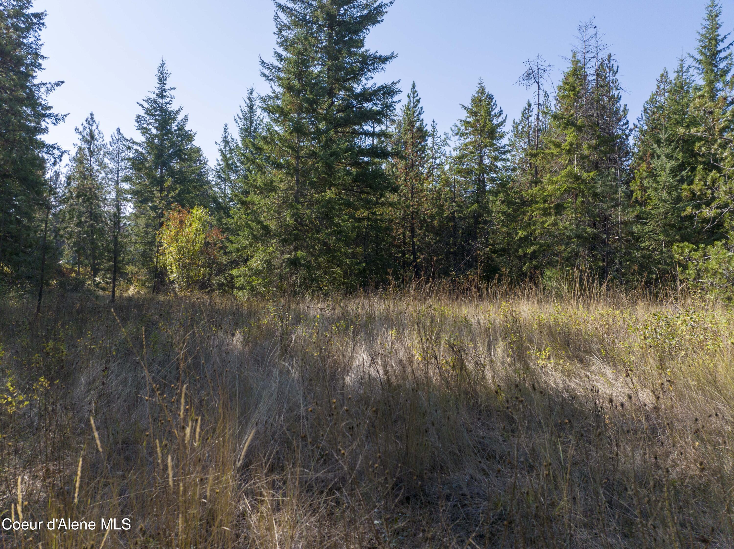 Blk1-lot3 West Grayeagle Road Rathdrum, ID 83858 - Photo 8 of 21 Building spot