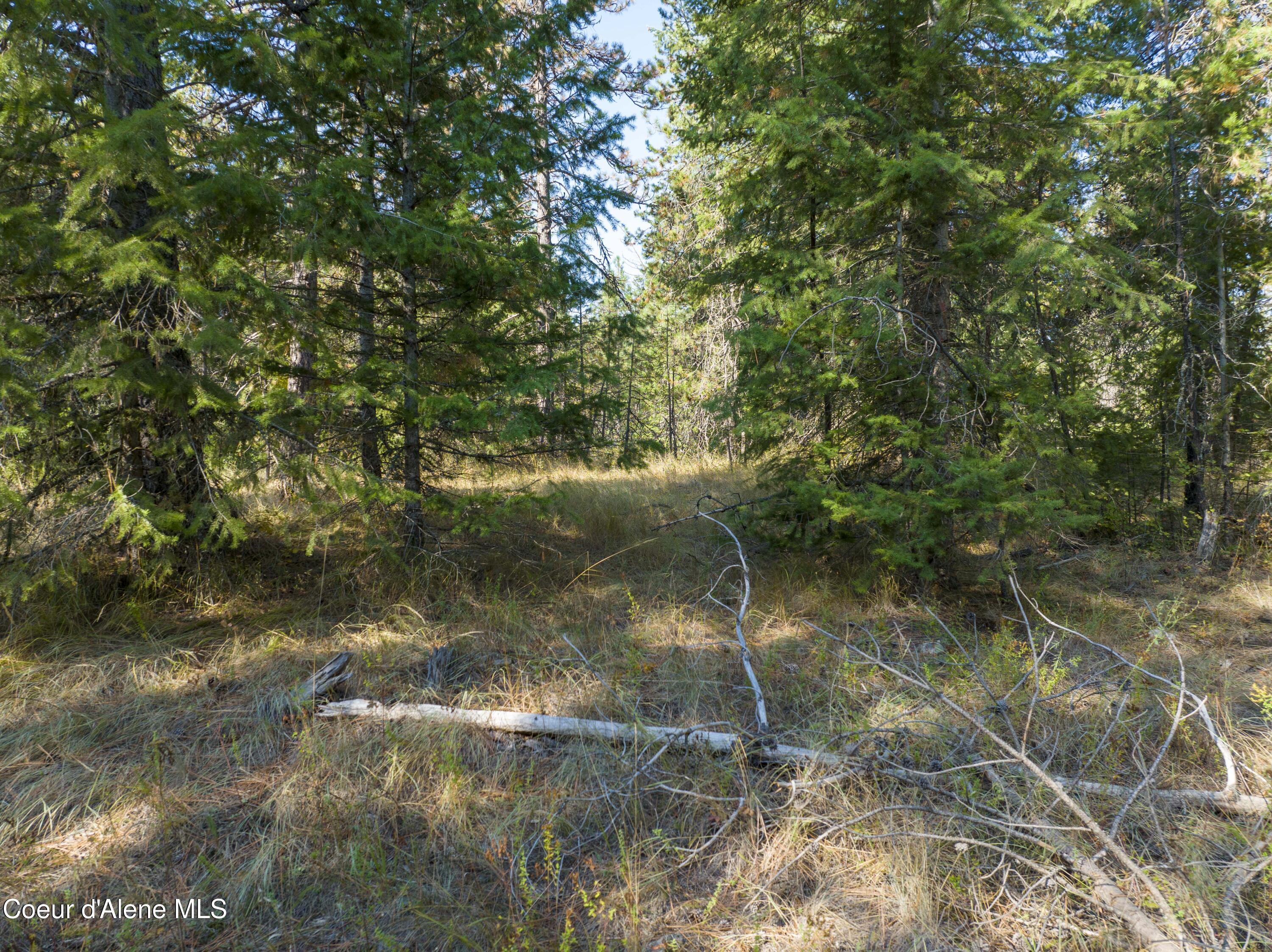 Blk1-lot3 West Grayeagle Road Rathdrum, ID 83858 - Photo 9 of 21 DJI_0062 copy