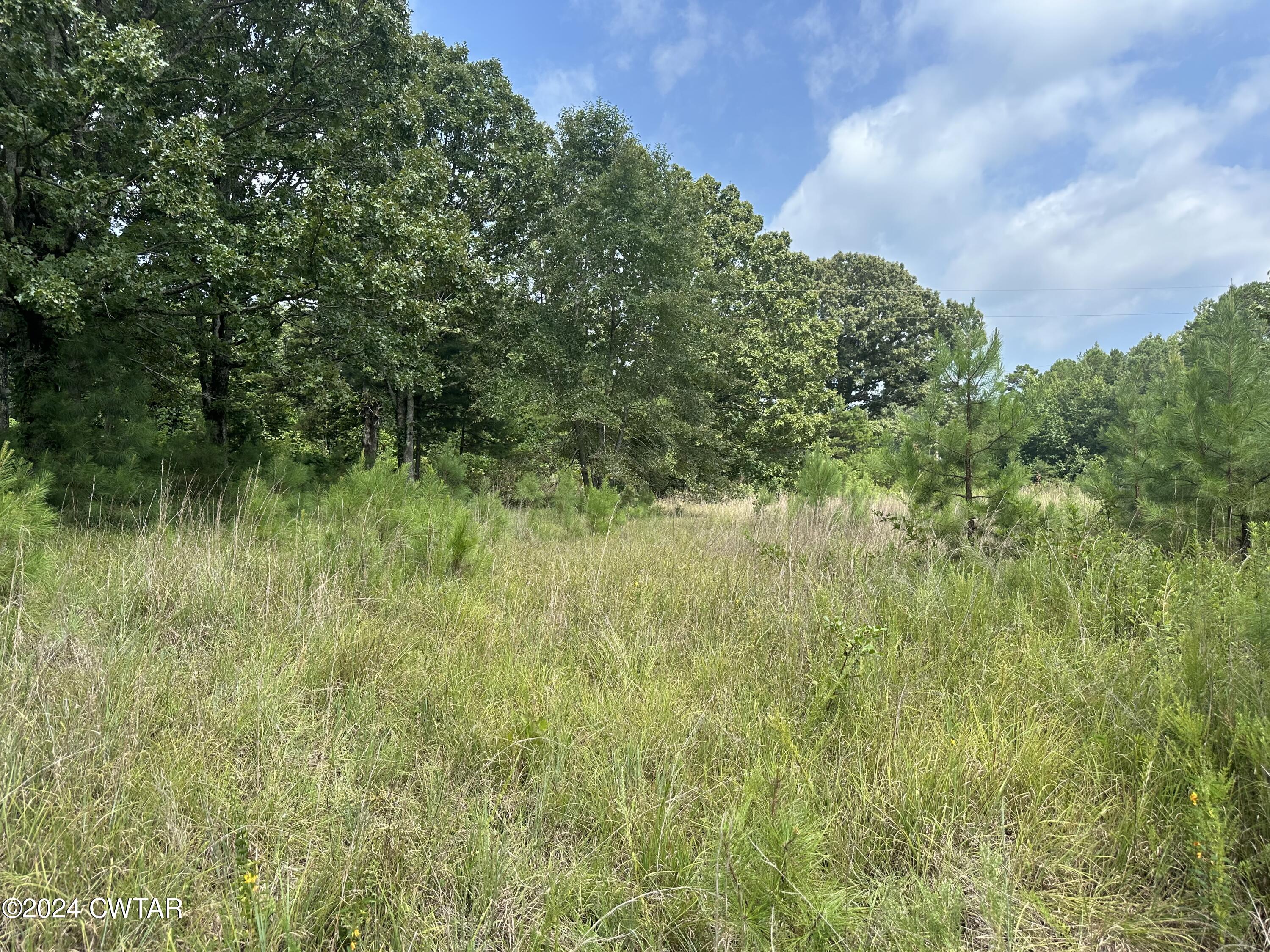 380 Vires Road Finger, TN 38334 - Photo 5 of 5 IMG_1906
