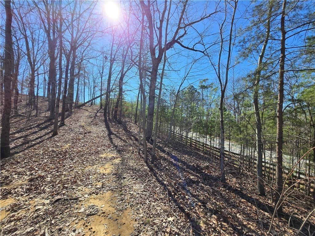0 Brushy Mountain Road Rockmart, GA 30153 - Photo 6 of 10 a backyard of a house with lots of green space
