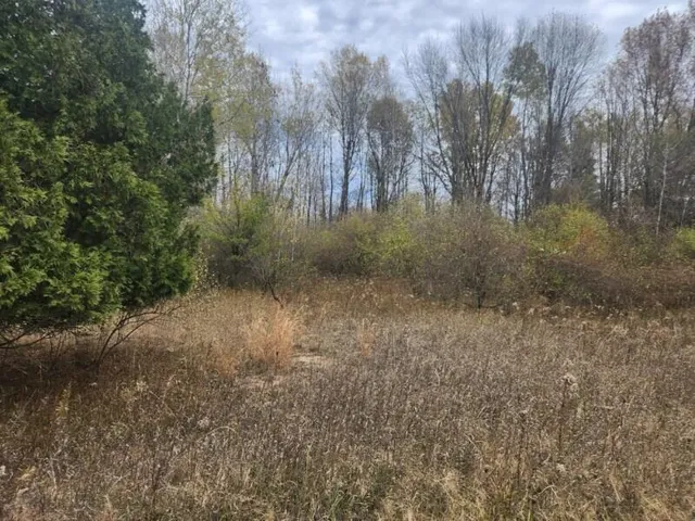 $15,000 | V/l South 132nd Avenue, Shelby, MI 49455