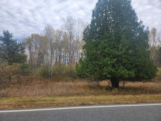 $15,000 | V/l South 132nd Avenue, Shelby, MI 49455