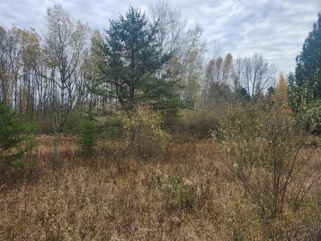 $15,000 | V/l South 132nd Avenue, Shelby, MI 49455