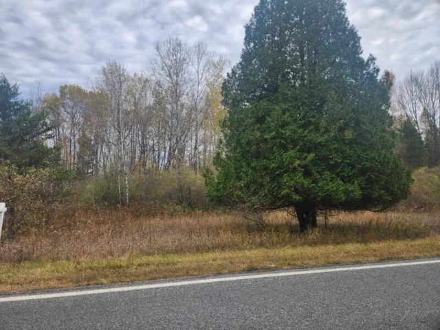 $15,000 | V/l South 132nd Avenue, Shelby, MI 49455