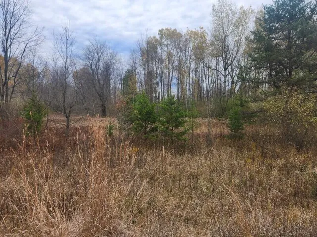 $15,000 | V/l South 132nd Avenue, Shelby, MI 49455