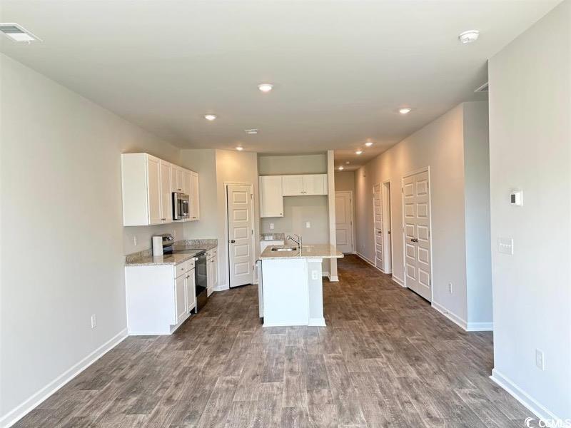 1301 American Shad Street Conway, SC 29526 - Photo 12 of 34