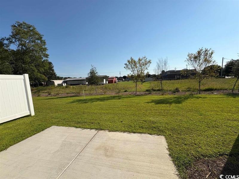 1301 American Shad Street Conway, SC 29526 - Photo 14 of 34