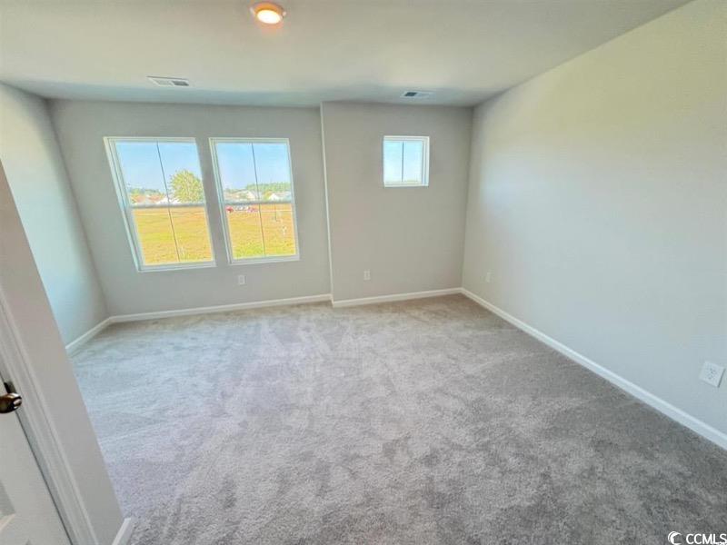 1301 American Shad Street Conway, SC 29526 - Photo 2 of 34