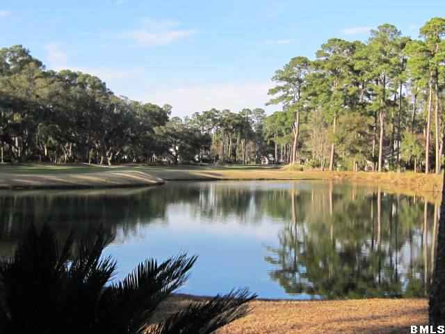 88 North Boone Road Dataw Island, SC 29920 - Photo 21 of 25 Additional Photo