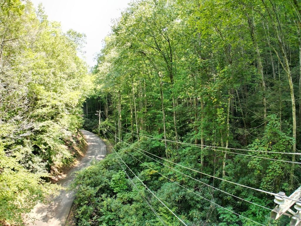 1213 Butler Branch Road Gatlinburg, TN 37738 - Photo 12 of 13