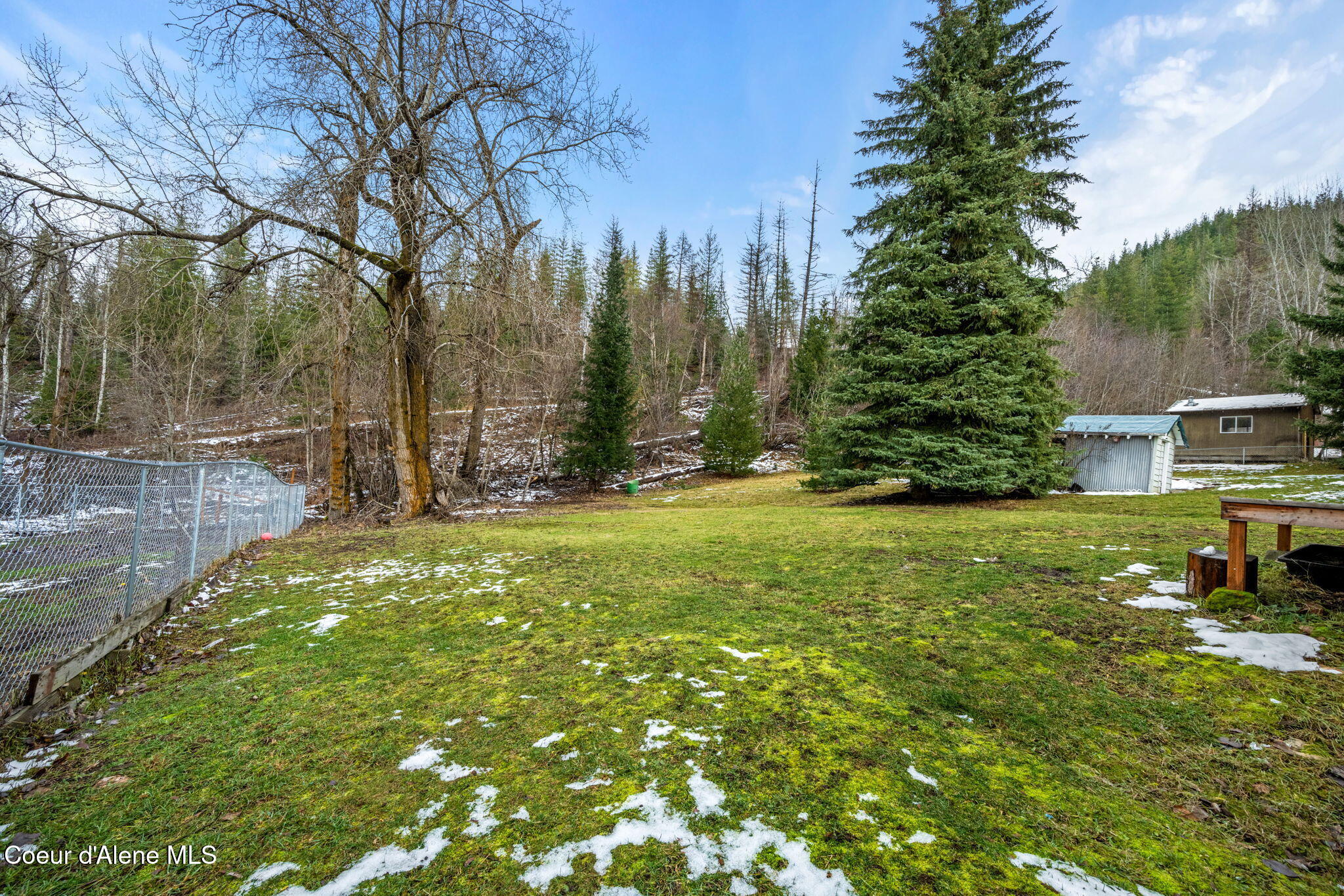 869 Lower Page Road Smelterville, ID 83868 - Photo 25 of 29 Huge trees