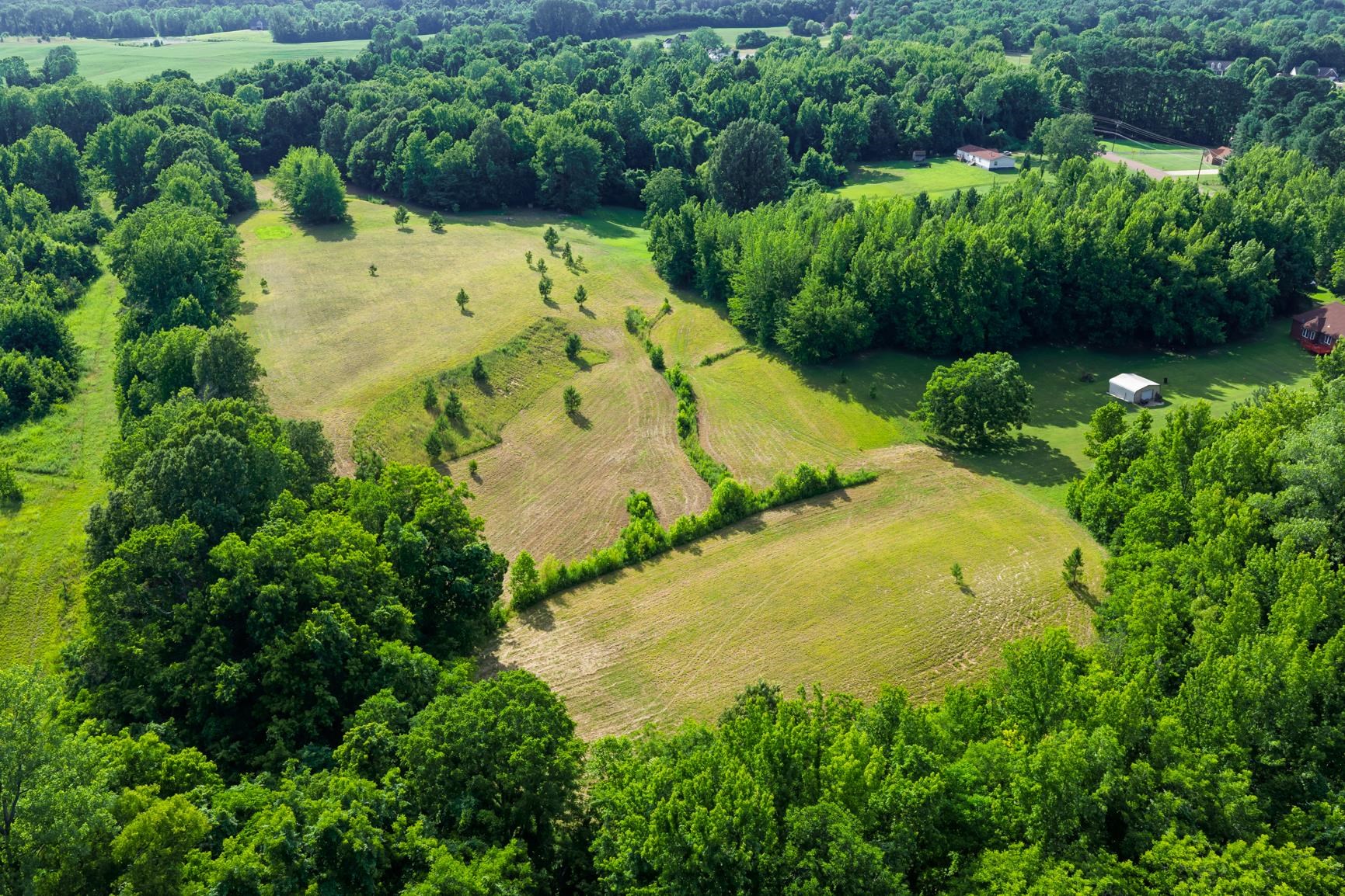 Campground Road Drummonds, TN 38023 - Photo 3 of 13