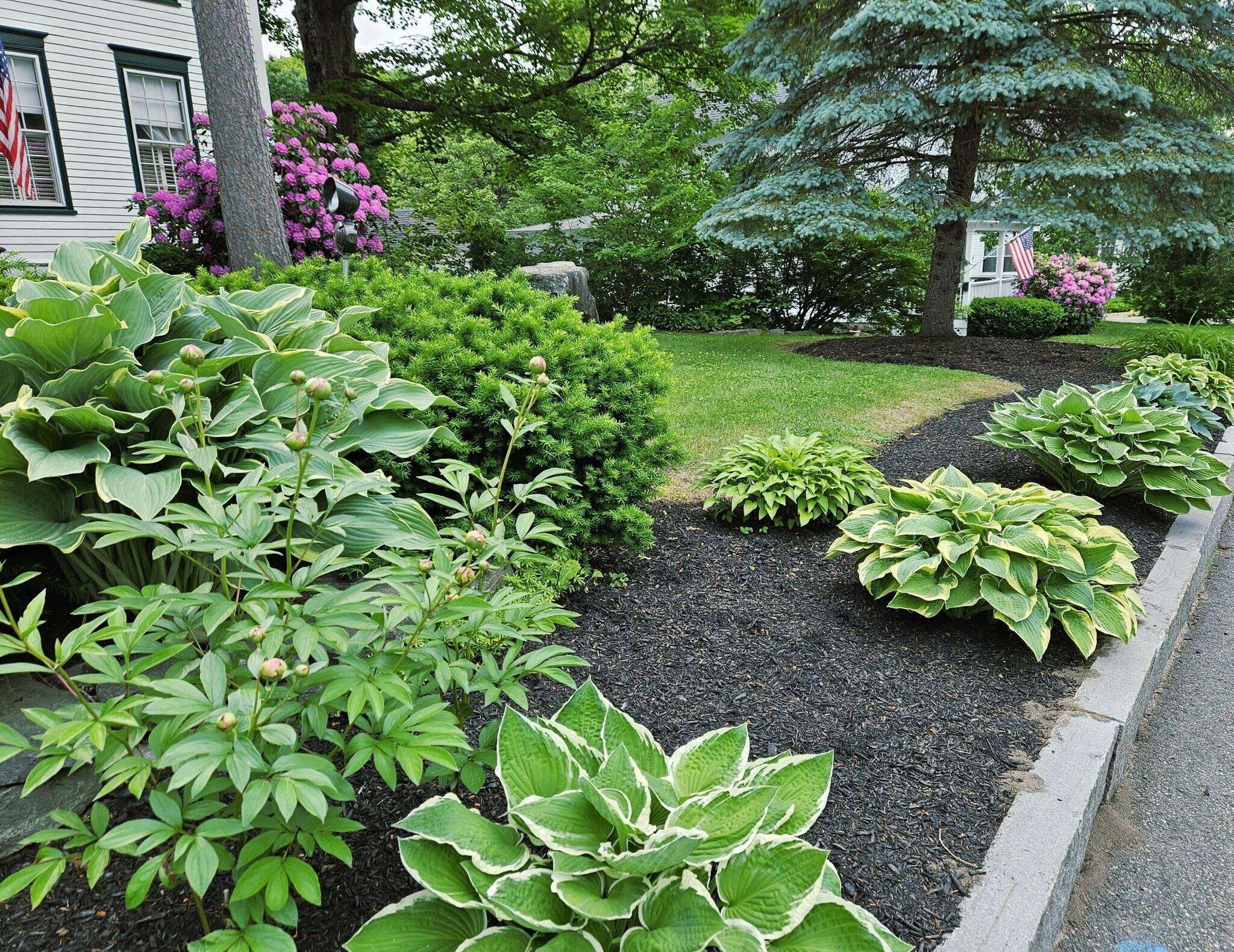 91 South Street Gorham, ME 04038 - Photo 16 of 17 PineCrest front during summer