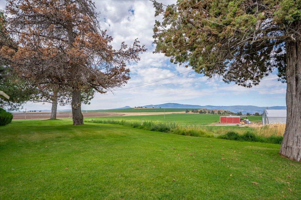 2935 Sheep Mountain Road Macdoel, CA 96058 - Photo 131 of 137 119-Macdoel Hay Ranch1 - E-93