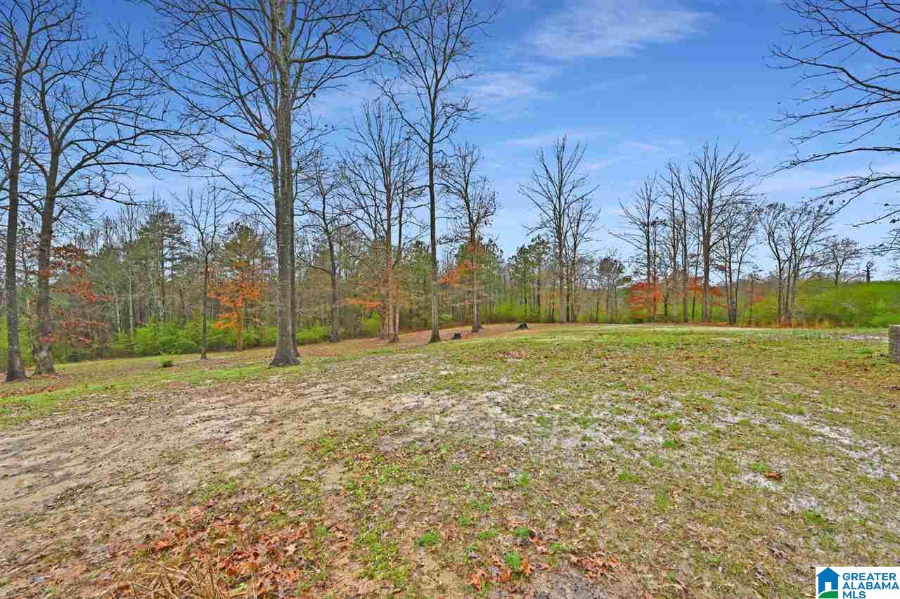 700 Three Oaks Road Blountsville, AL 35031 - Photo 29 of 31
