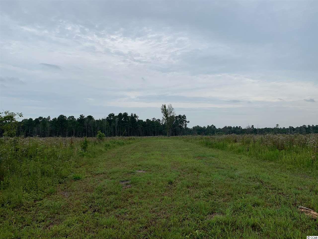 65-acres 65-acres Sims Reach Road Kingstree, SC 29556 - Photo 3 of 8