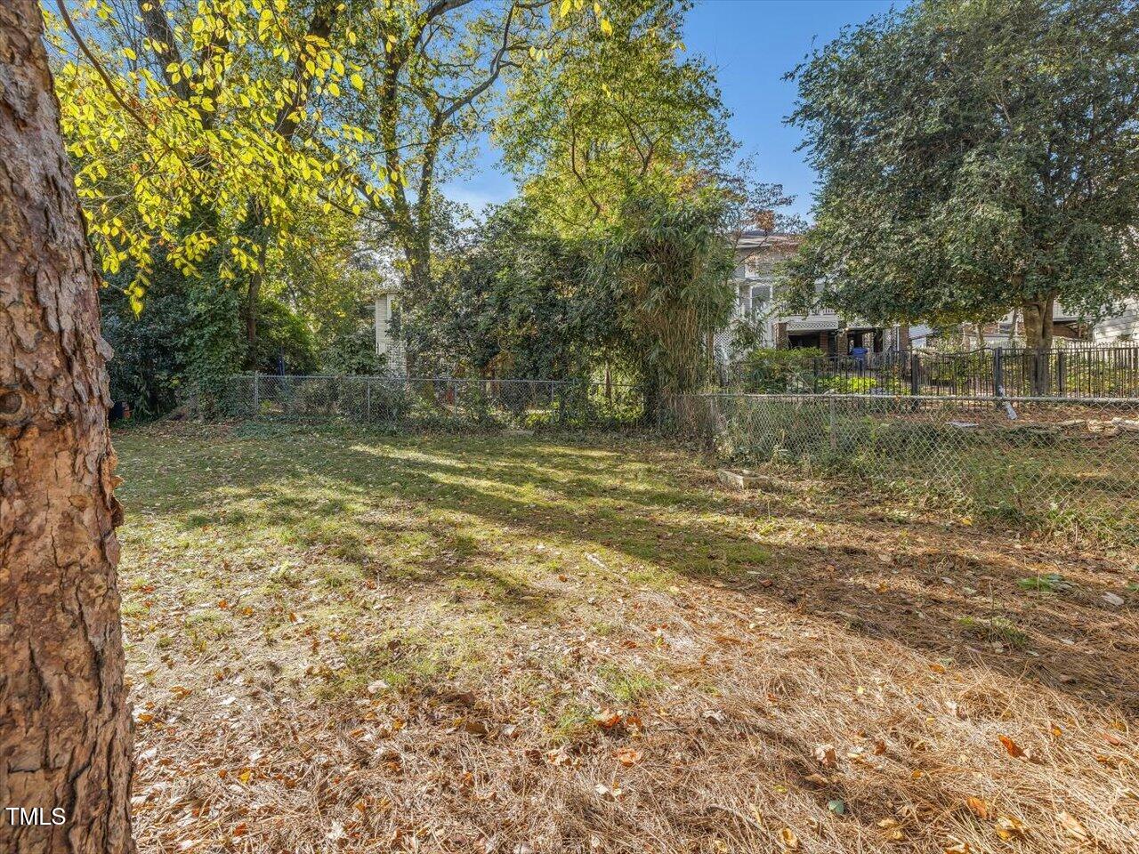 2108 Myrtle Avenue Raleigh, NC 27608 - Photo 75 of 95 75-Side Yard