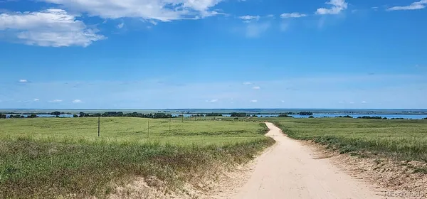 a view of a lake from a yard
