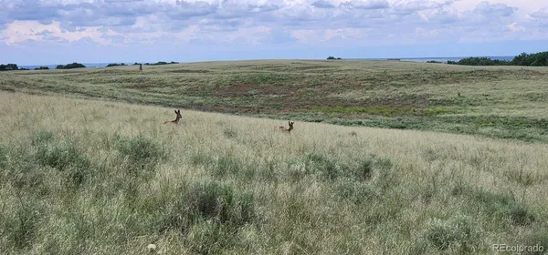 $13,500,000 | 95 County Road South, Orchard, CO 80649