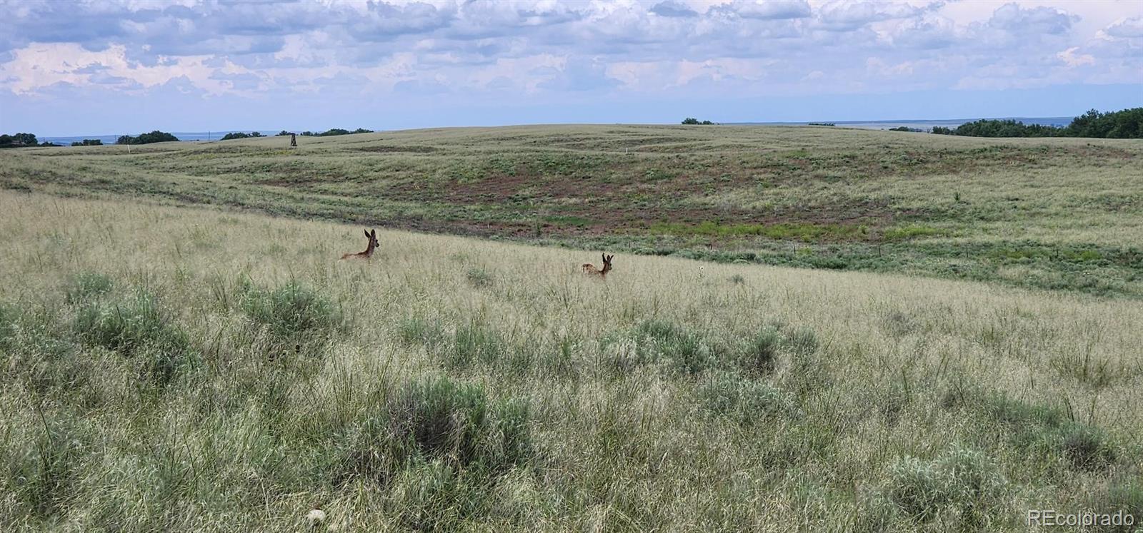 95 County Road South Orchard, CO 80649 - Photo 25 of 25 a view of lake with mountain