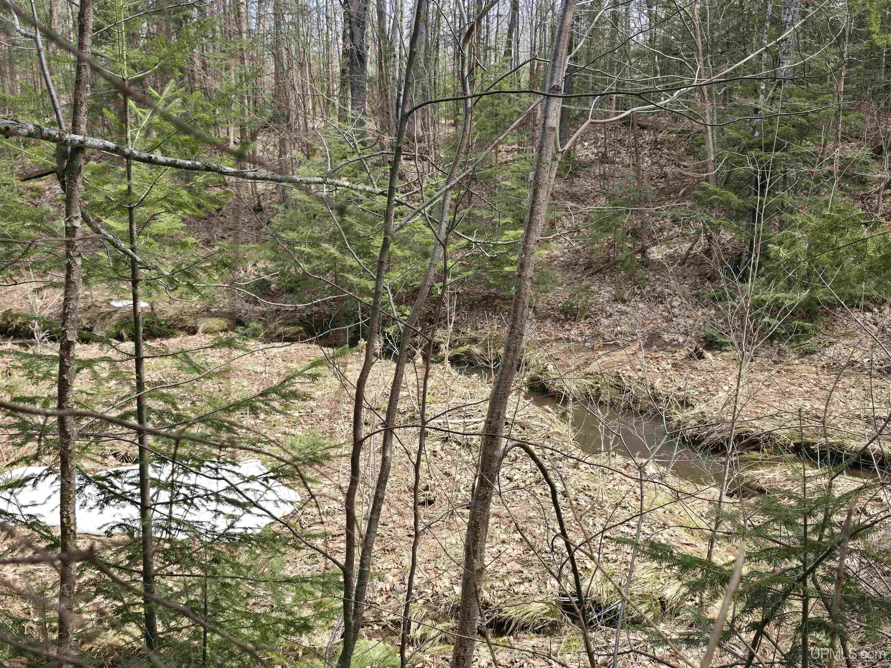 Tbd Woodspur Road Ontonagon, MI 49953 - Photo 17 of 46