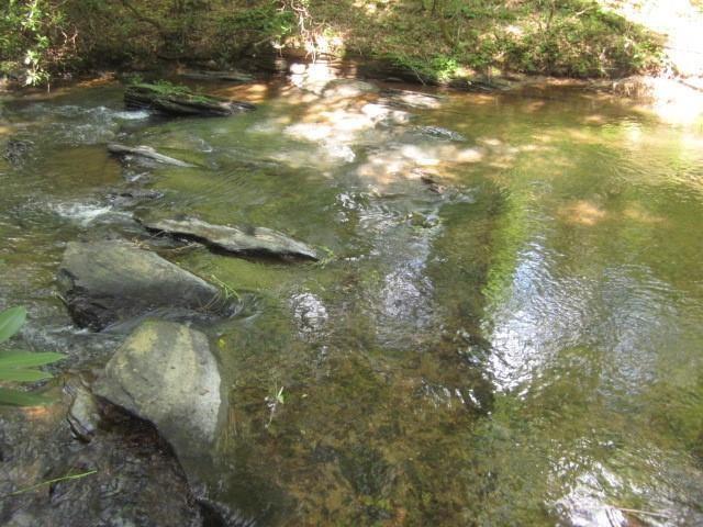 0 Dell Moore Road Marble Hill, GA 30148 - Photo 16 of 18