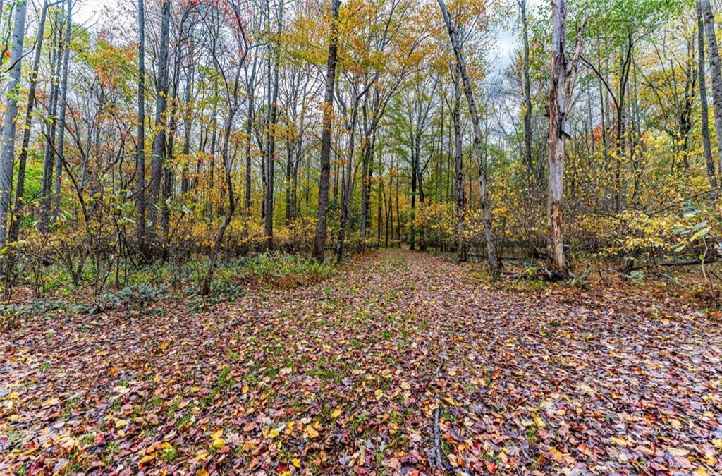 Tbd Tbd Bortz Mine Rd Point Point Marion, PA 15474 - Photo 11 of 25 a backyard of a house with lots of green space