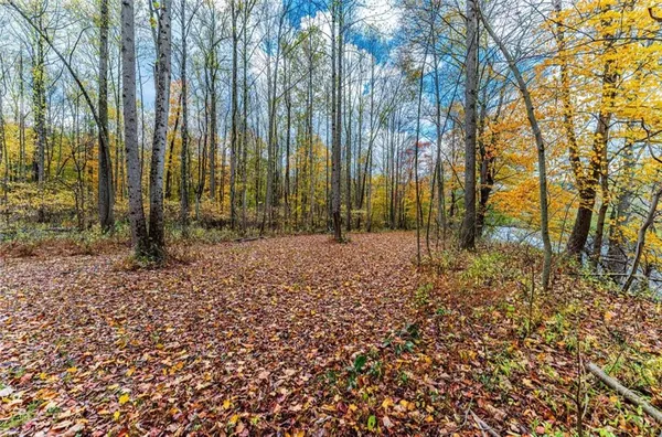 a view of outdoor space with deck and trees