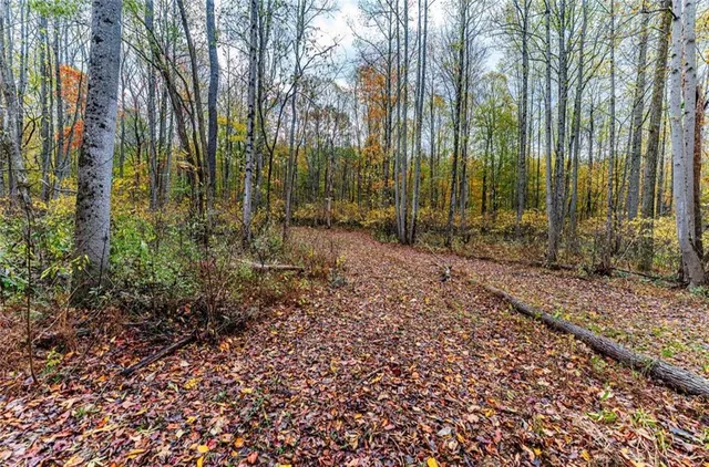 a view of outdoor space with green space