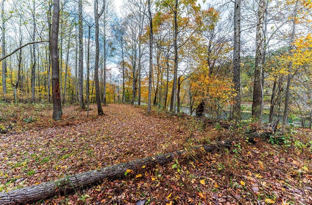 Tbd Tbd Bortz Mine Rd Point Point Marion, PA 15474 - Photo 16 of 25 a view of backyard with green space