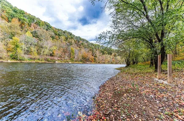 a view of a yard with an trees