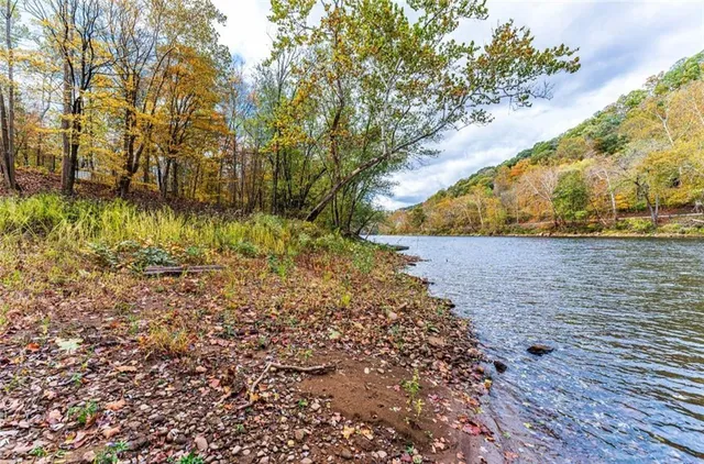 a view of backyard with wooden fence