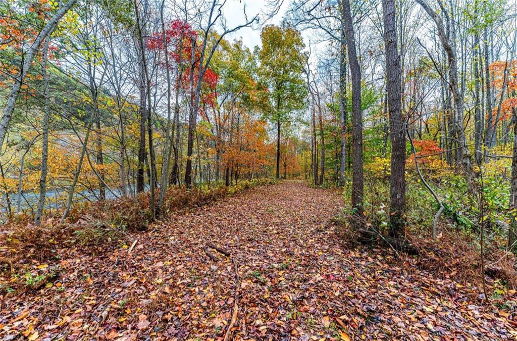 Tbd Tbd Bortz Mine Rd Point Point Marion, PA 15474 - Photo 5 of 25 a backyard of a house with lots of green space