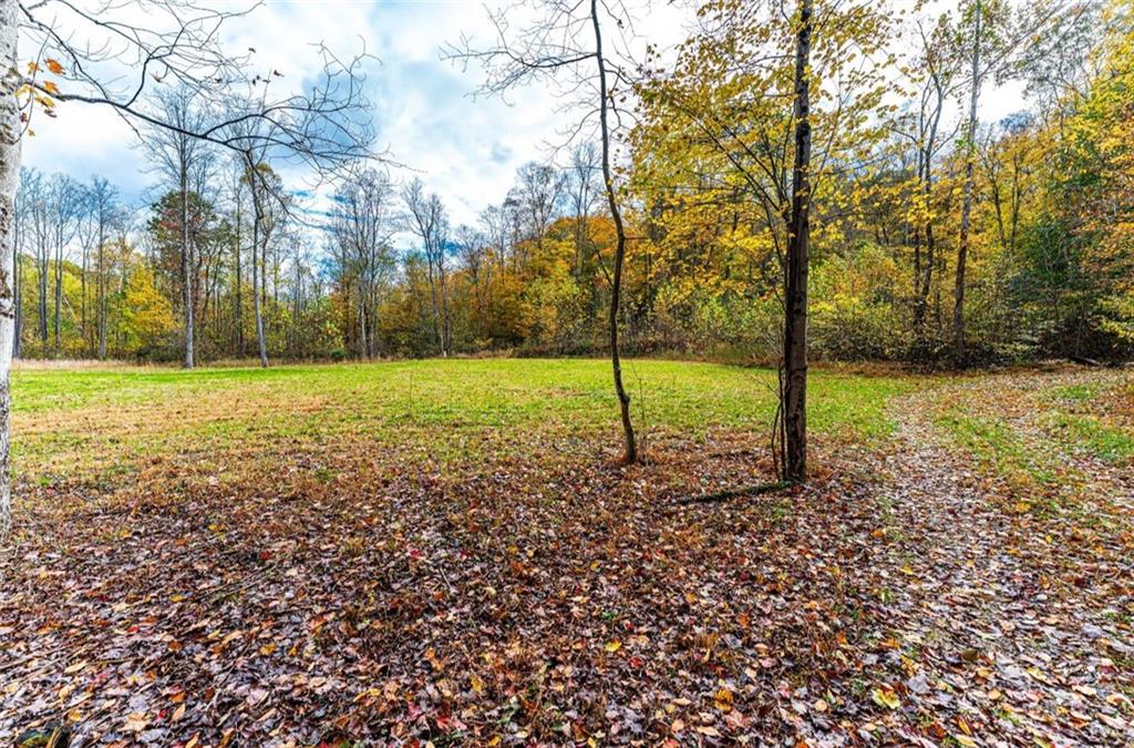 Tbd Tbd Bortz Mine Rd Point Point Marion, PA 15474 - Photo 6 of 25 a view of a field with a tree