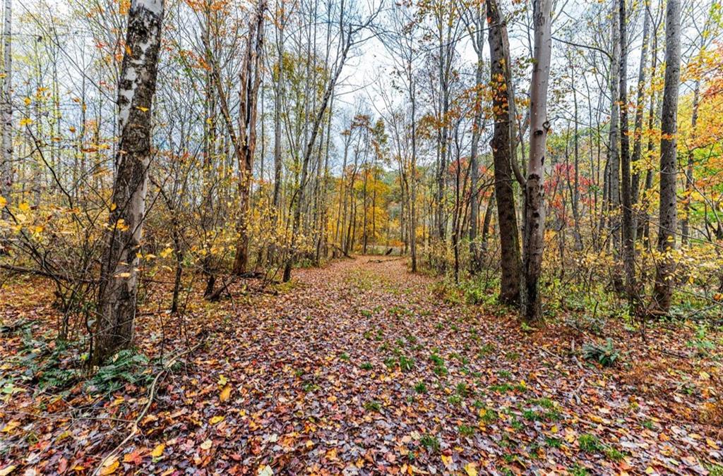 Tbd Tbd Bortz Mine Rd Point Point Marion, PA 15474 - Photo 10 of 25 a view of outdoor space with deck and tree