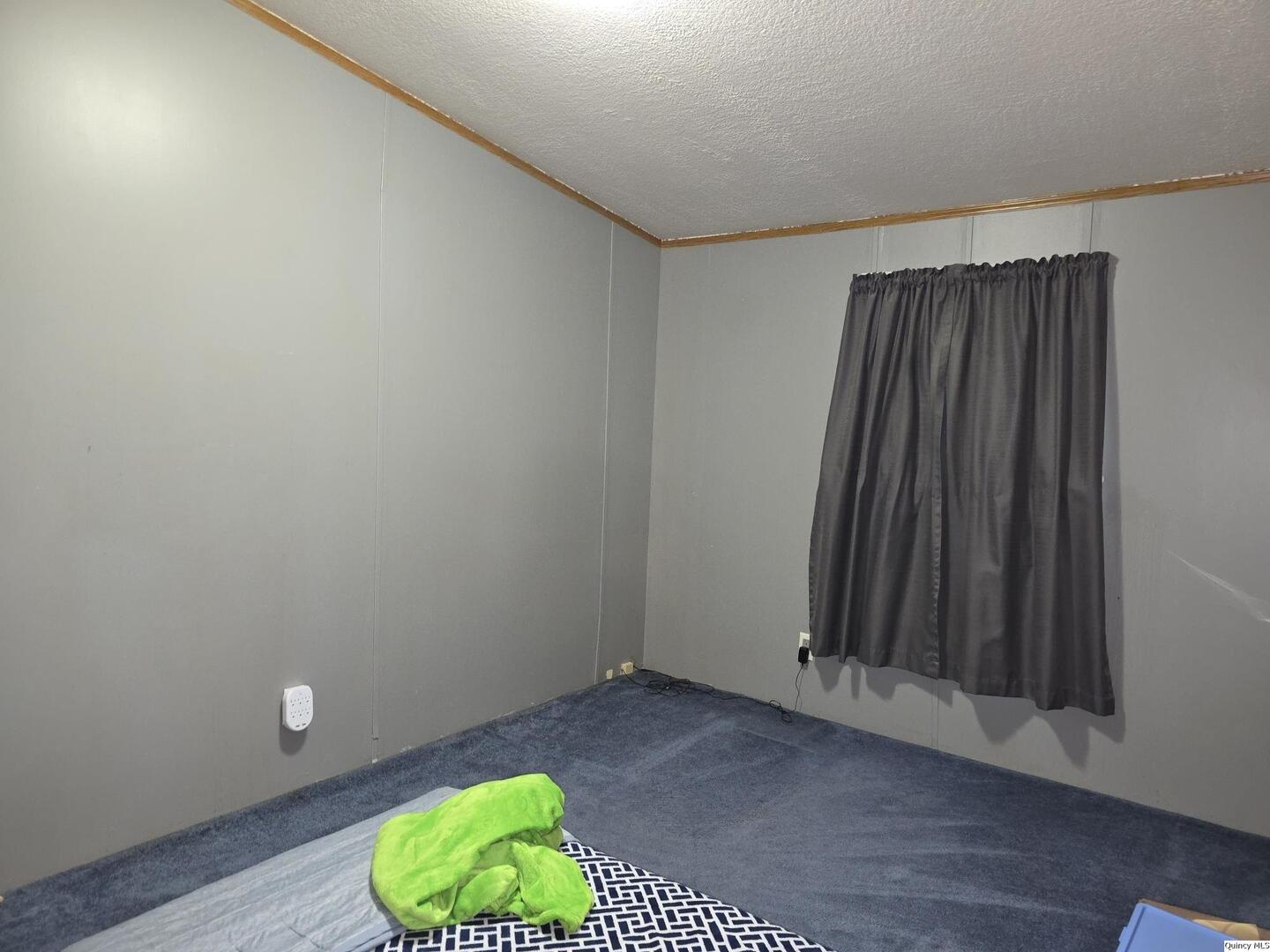 1103 East Main Augusta, IL 62311 - Photo 16 of 27 an empty room with a window