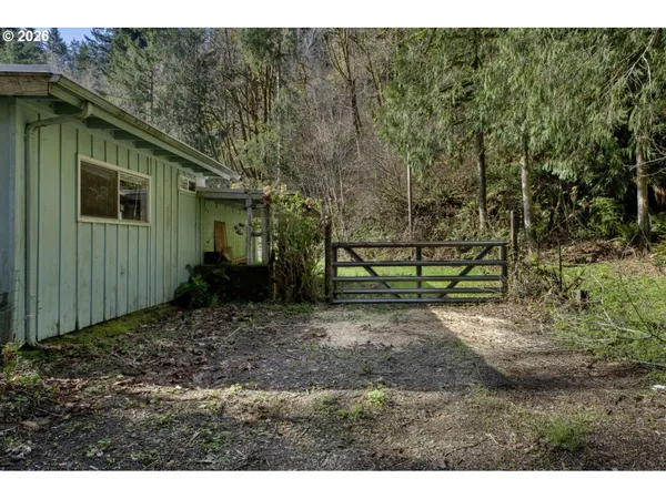 a view of a forest with a street