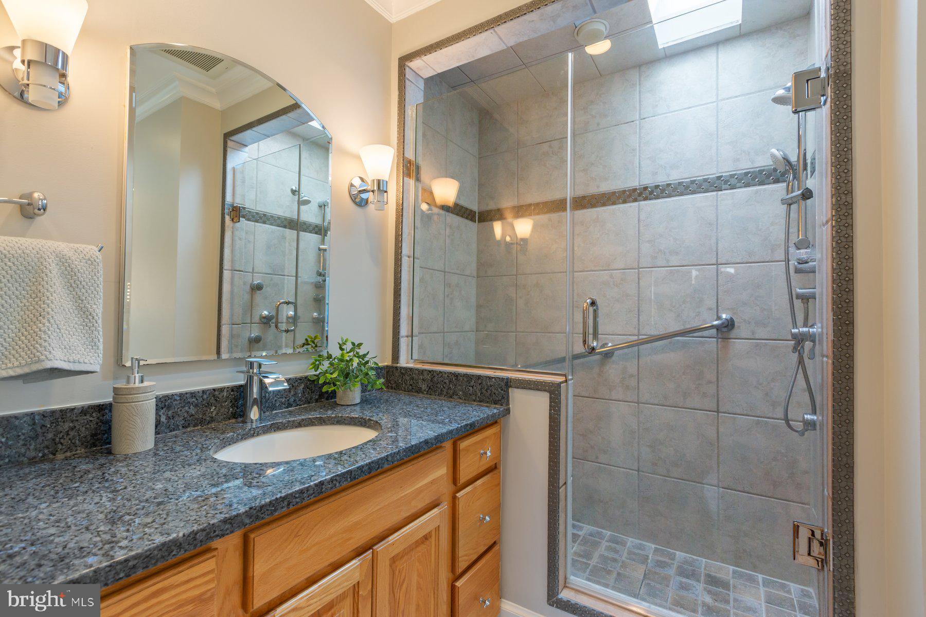 4887 35th Road North Arlington, VA 22207 - Photo 25 of 52 Primary Bathroom