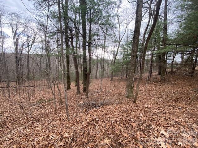 395 West Chestnut Ridges Road, Unit 14 Zirconia, NC 28790 - Photo 2 of 3 a backyard of a house with lots of green space