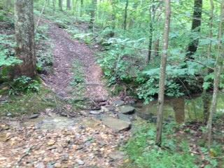 1460 Poplar Ridge Road Chapmansboro, TN 37035 - Photo 6 of 20 This farm has trails galore! Perfect for walking, hiking, horseback riding & ATV's!