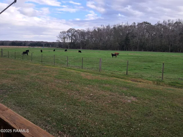 $1,550 | 11330 Audubon Road, Abbeville, LA 70510