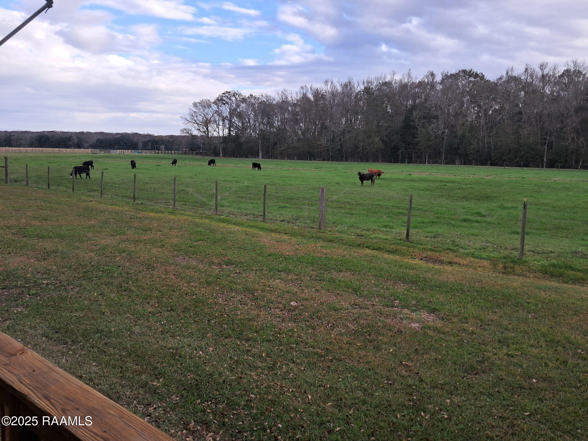 11330 Audubon Road Abbeville, LA 70510 - Photo 4 of 44 1345899244329710364