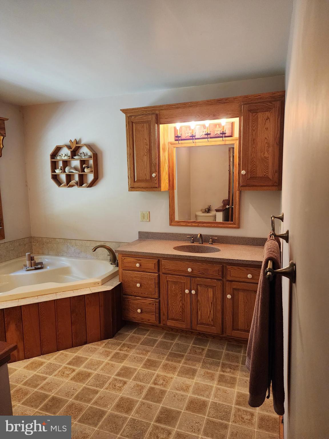 14847 White Oak Ridge Hancock, MD 21750 - Photo 14 of 101 a bathroom with a sink and a mirror