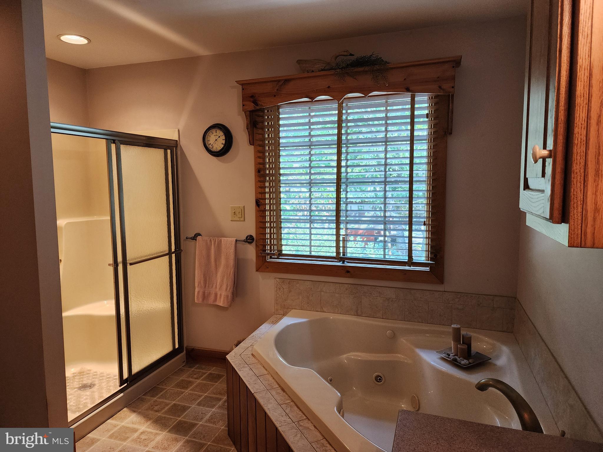 14847 White Oak Ridge Hancock, MD 21750 - Photo 17 of 101 a bathroom with a tub and a window