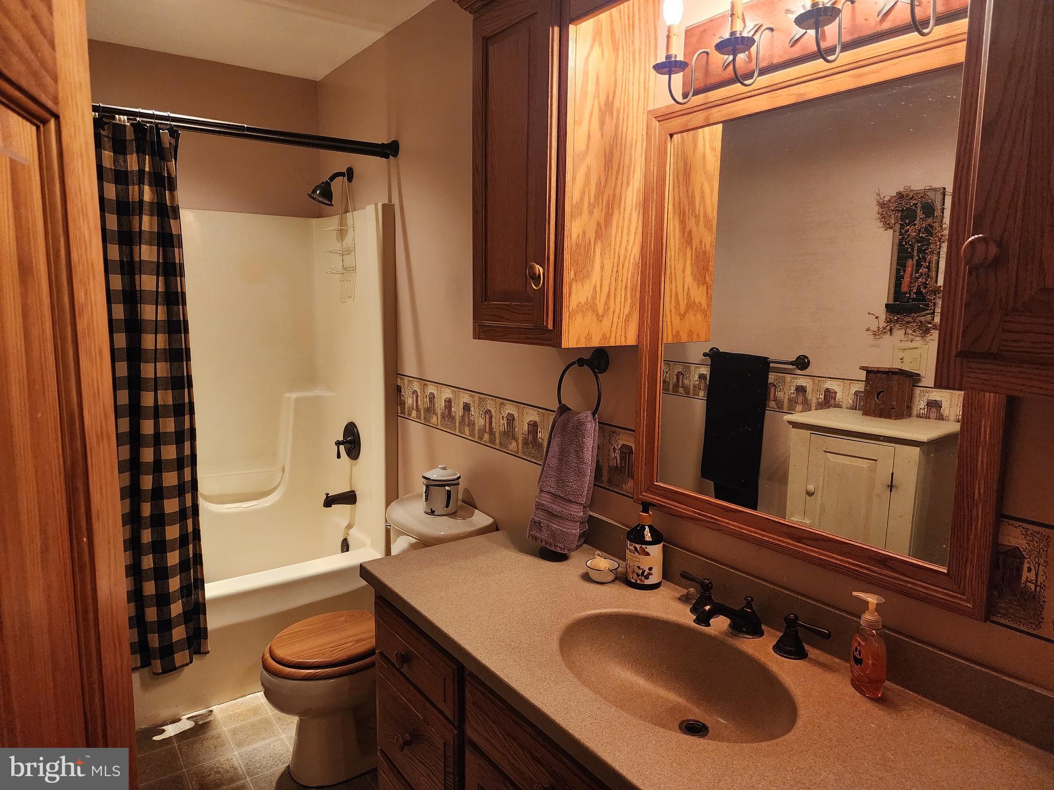 14847 White Oak Ridge Hancock, MD 21750 - Photo 30 of 101 a bathroom with a sink toilet and shower
