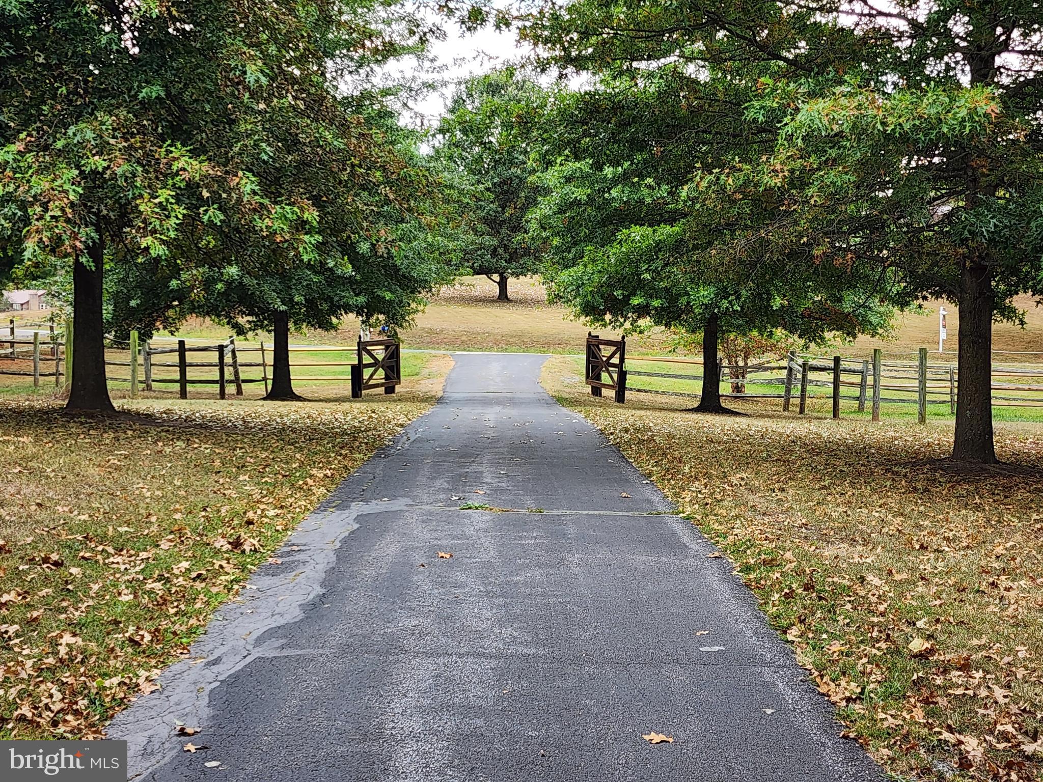 14847 White Oak Ridge Hancock, MD 21750 - Photo 43 of 101 a park with large trees